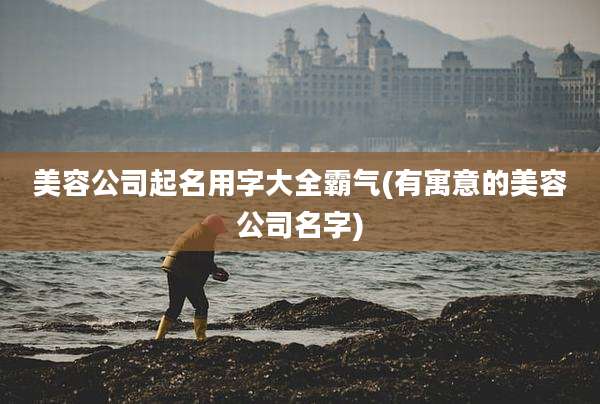 美容公司起名用字大全霸气(有寓意的美容公司名字)