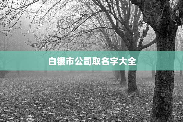 白银市公司取名字大全
