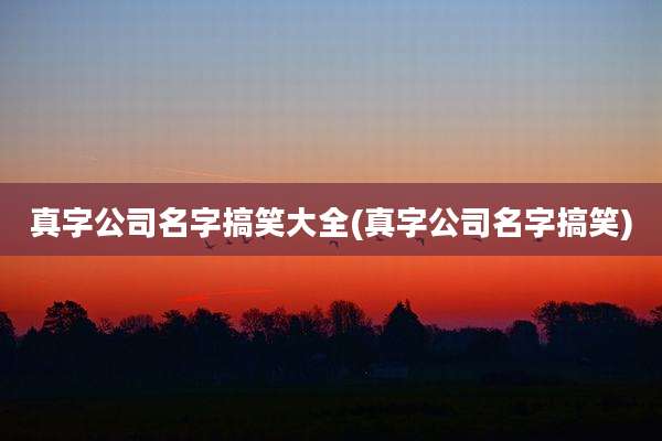 真字公司名字搞笑大全(真字公司名字搞笑)