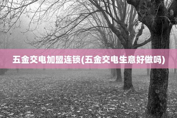 五金交电加盟连锁(五金交电生意好做吗)