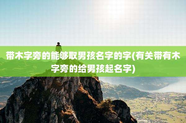带木字旁的能够取男孩名字的字(有关带有木字旁的给男孩起名字)