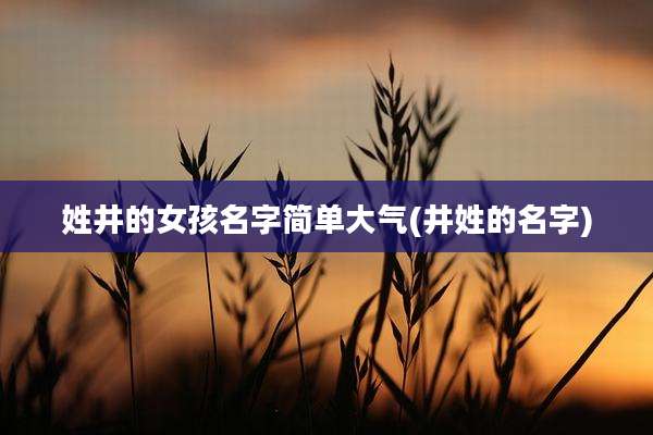 姓井的女孩名字简单大气(井姓的名字)
