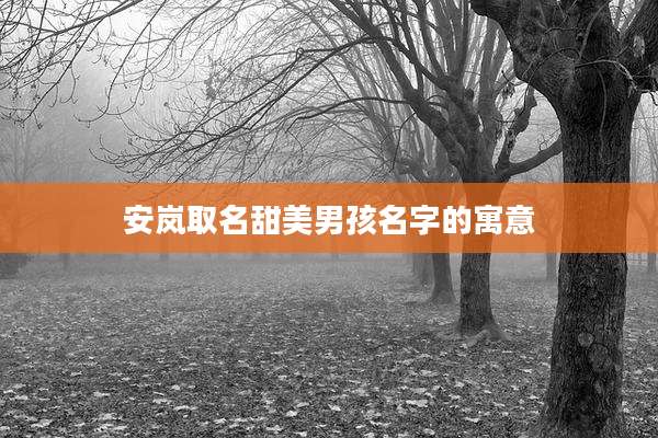 安岚取名甜美男孩名字的寓意