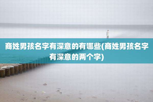 商姓男孩名字有深意的有哪些(商姓男孩名字有深意的两个字)