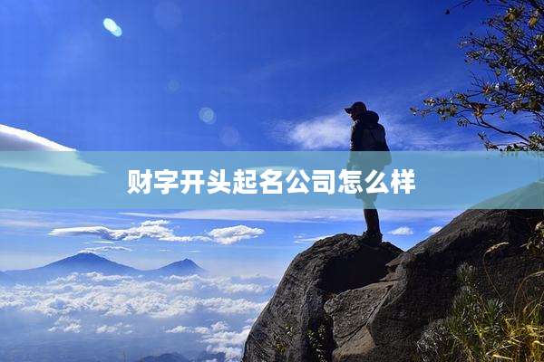 财字开头起名公司怎么样