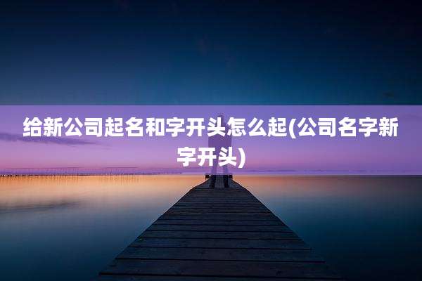 给新公司起名和字开头怎么起(公司名字新字开头)