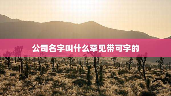 公司名字叫什么罕见带可字的