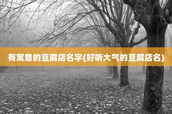 有寓意的豆腐店名字(好听大气的豆腐店名)