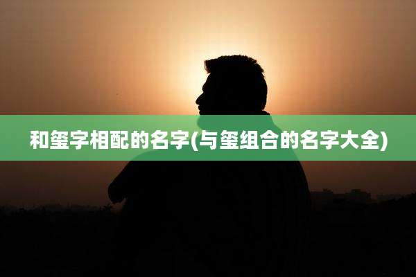 和玺字相配的名字(与玺组合的名字大全)