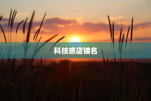 科技感店铺名