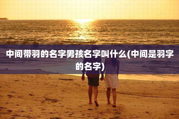 中间带羽的名字男孩名字叫什么(中间是羽字的名字)
