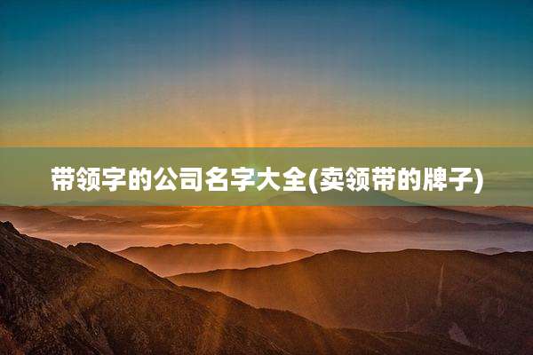 带领字的公司名字大全(卖领带的牌子)