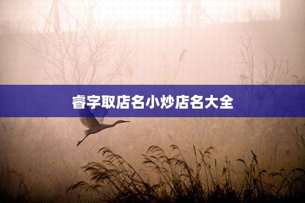 睿字取店名小炒店名大全