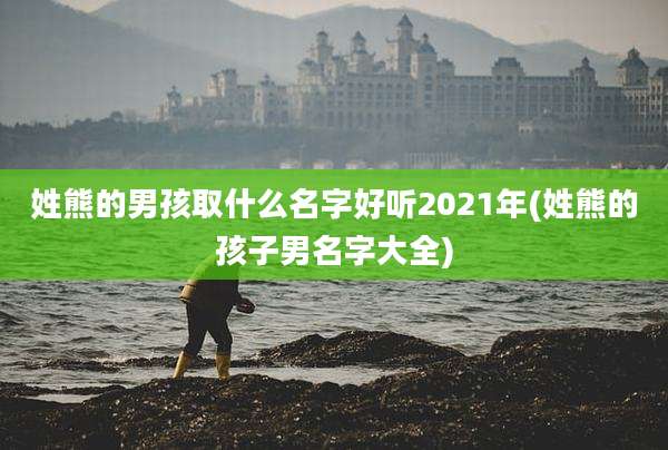 姓熊的男孩取什么名字好听2021年(姓熊的孩子男名字大全)