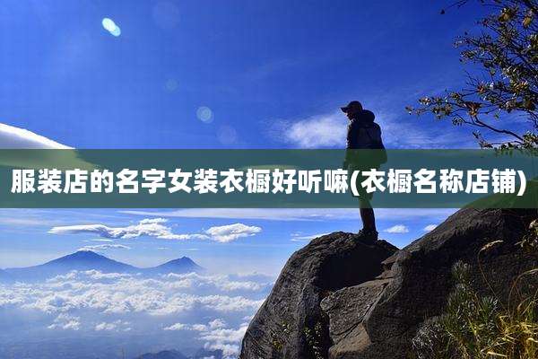 服装店的名字女装衣橱好听嘛(衣橱名称店铺)