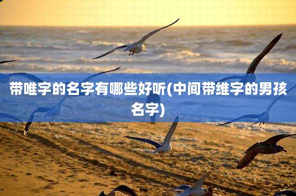 带唯字的名字有哪些好听(中间带维字的男孩名字)