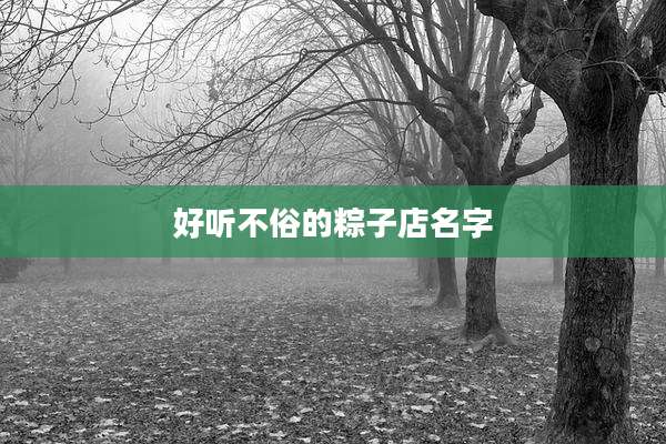好听不俗的粽子店名字