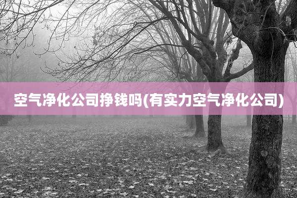 空气净化公司挣钱吗(有实力空气净化公司)
