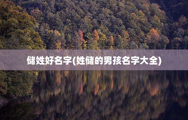 储姓好名字(姓储的男孩名字大全)