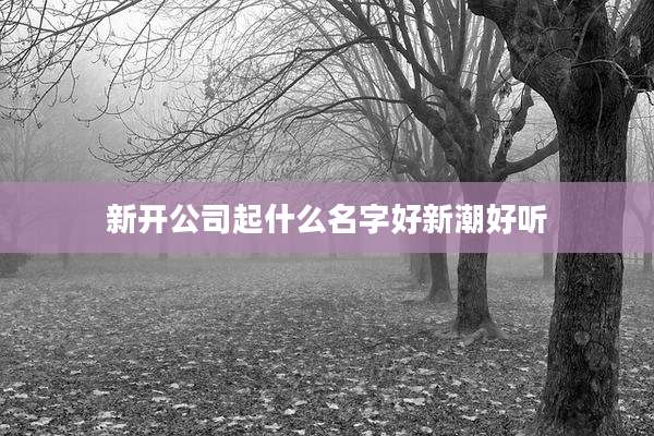 新开公司起什么名字好新潮好听
