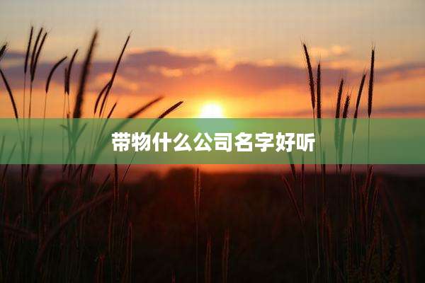 带物什么公司名字好听
