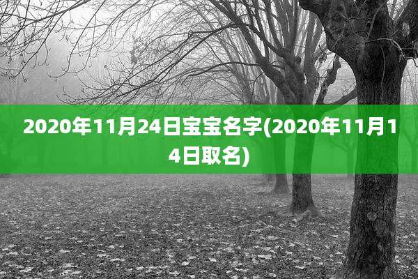 2020年11月24日宝宝名字(2020年11月14日取名)