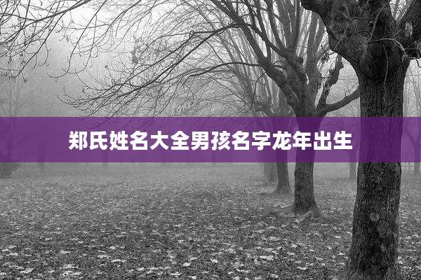 郑氏姓名大全男孩名字龙年出生