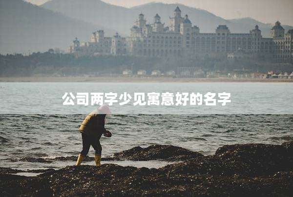 公司两字少见寓意好的名字