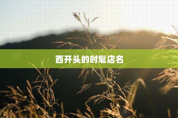 西开头的时髦店名
