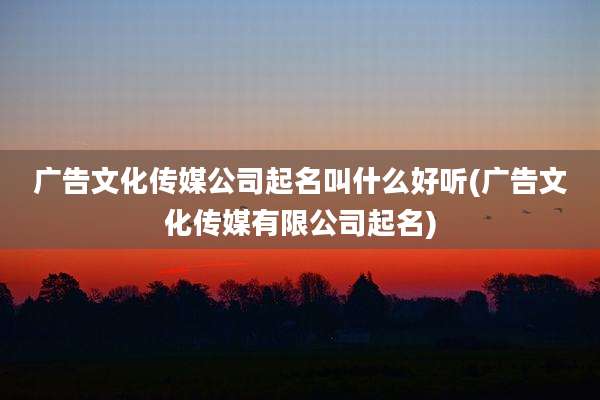 广告文化传媒公司起名叫什么好听(广告文化传媒有限公司起名)