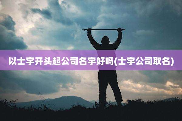 以士字开头起公司名字好吗(士字公司取名)