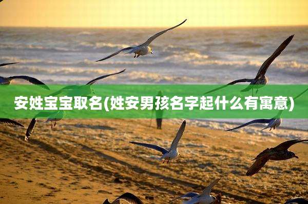 安姓宝宝取名(姓安男孩名字起什么有寓意)
