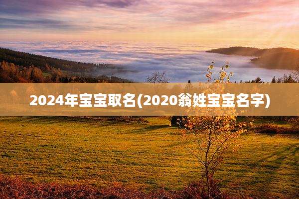 2024年宝宝取名(2020翁姓宝宝名字)