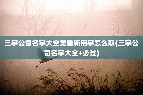 三字公司名字大全集最新用字怎么取(三字公司名字大全+必过)