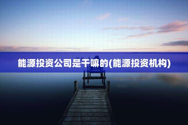 能源投资公司是干嘛的(能源投资机构)