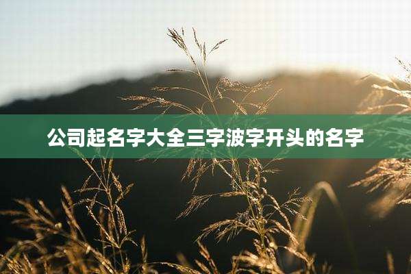 公司起名字大全三字波字开头的名字