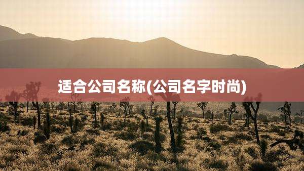 适合公司名称(公司名字时尚)