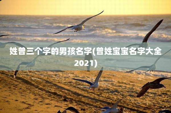 姓曾三个字的男孩名字(曾姓宝宝名字大全2021)