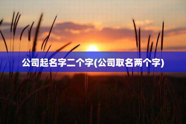 公司起名字二个字(公司取名两个字)