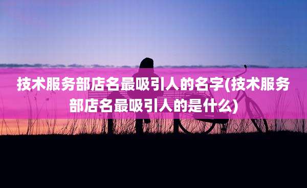 技术服务部店名最吸引人的名字(技术服务部店名最吸引人的是什么)