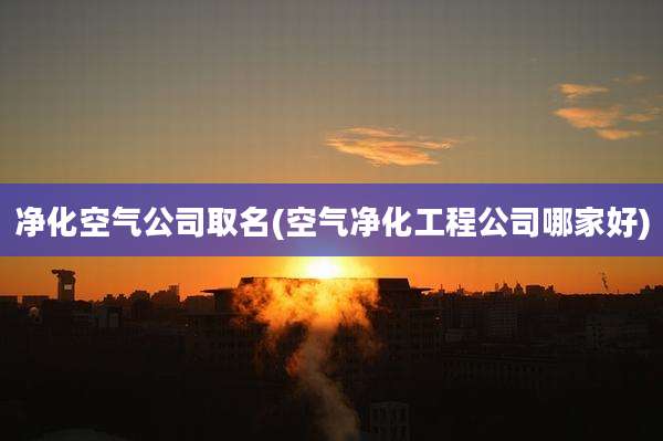净化空气公司取名(空气净化工程公司哪家好)