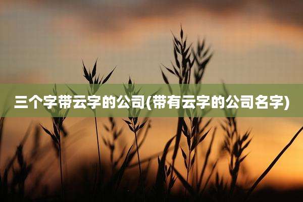 三个字带云字的公司(带有云字的公司名字)