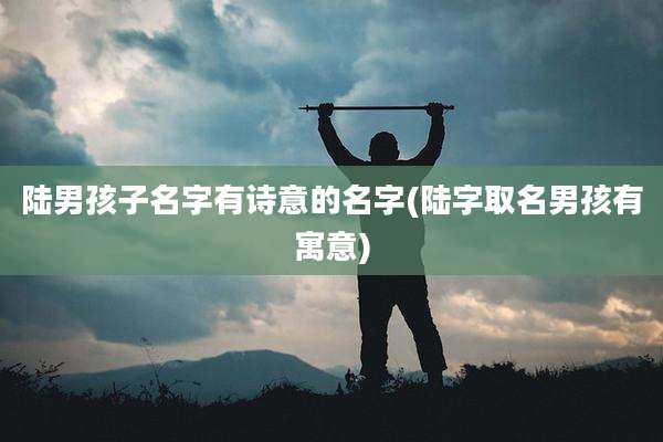 陆男孩子名字有诗意的名字(陆字取名男孩有寓意)