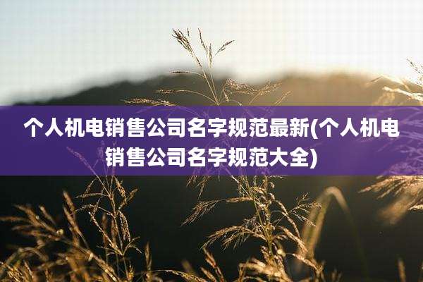 个人机电销售公司名字规范最新(个人机电销售公司名字规范大全)