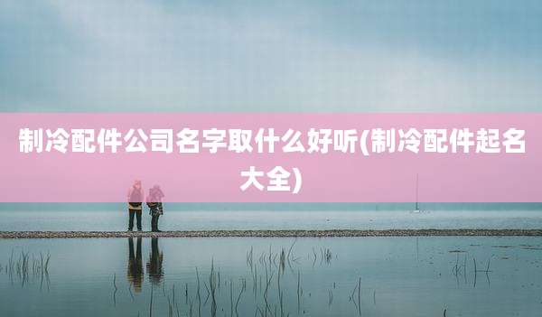制冷配件公司名字取什么好听(制冷配件起名大全)