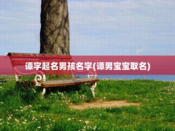 谭字起名男孩名字(谭男宝宝取名)