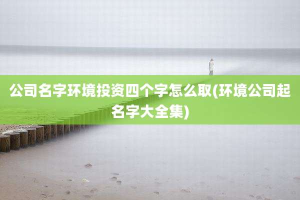 公司名字环境投资四个字怎么取(环境公司起名字大全集)