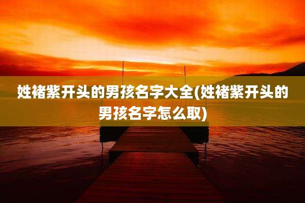 姓褚紫开头的男孩名字大全(姓褚紫开头的男孩名字怎么取)