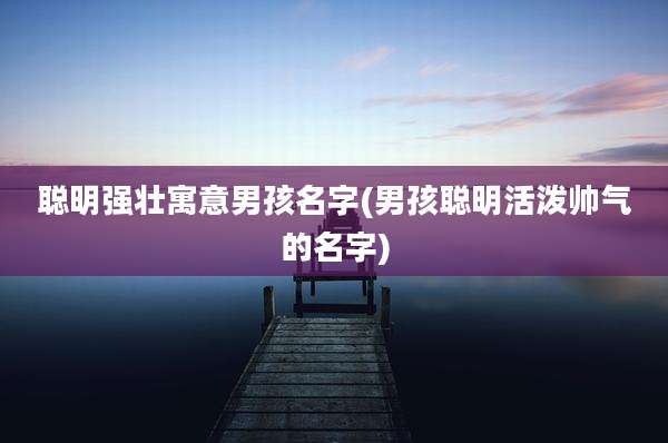 聪明强壮寓意男孩名字(男孩聪明活泼帅气的名字)