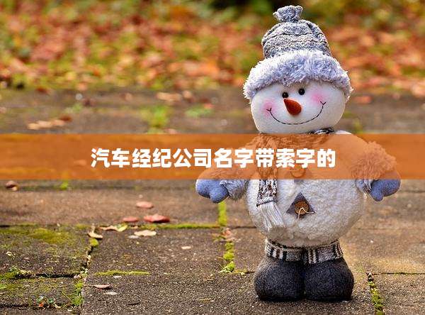 汽车经纪公司名字带索字的